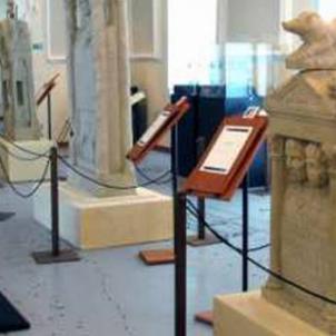 Mors Inmatura. The Fadienis and their necropolis