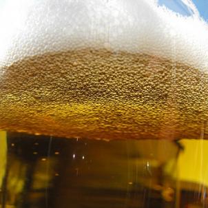 Not only Lambrusco e SanGiovese