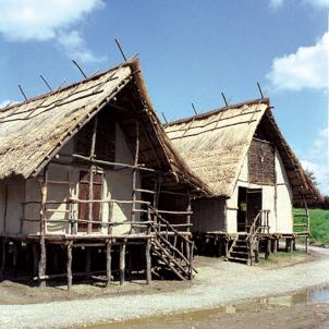 A journey through the 