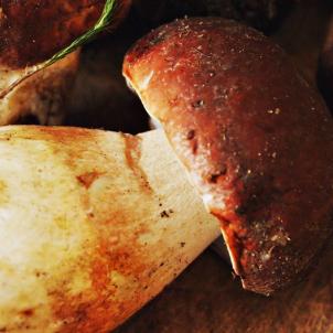 Fried Porcini mushrooms