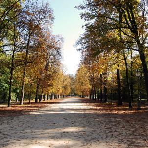 A walk in the historical heart of Parma