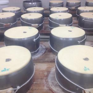 The cheesiest tour of Parmigiano