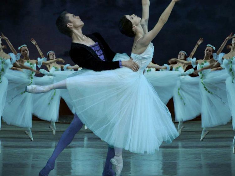 The Opera and Dance Season of Dante Alighieri Theatre 2014-15